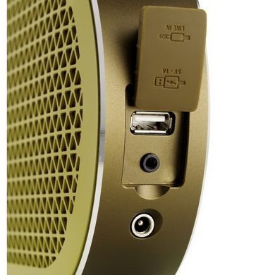 Портативная Bluetooth колонка DALI Katch Moss Green